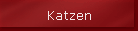 Katzen